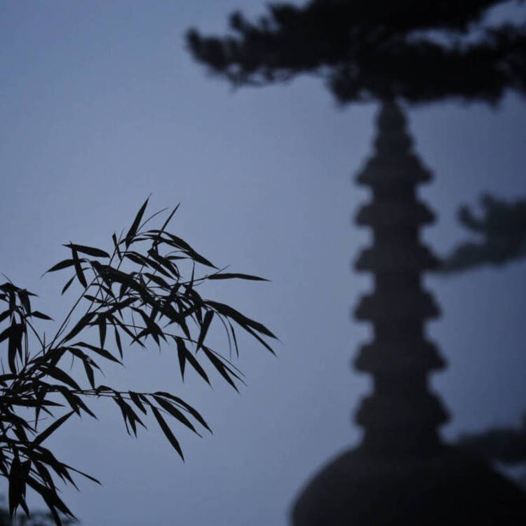 武田观柳（身份：恶德实业家、操纵鸦片贸易） - 正在播放长尾关键词挖掘7 - 线上追剧